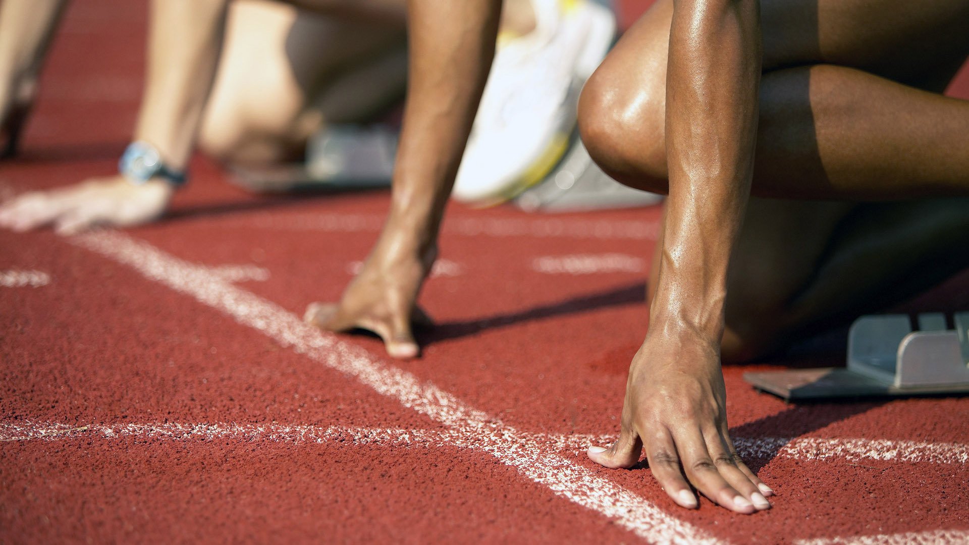 伊朗马术协会举办国际马术科技大会，推动行业技术交流与合作。